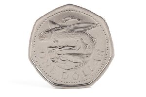 Barbados Adventure Awaits: Your Essential Guide to Exploring the Island's Wonders and Culture