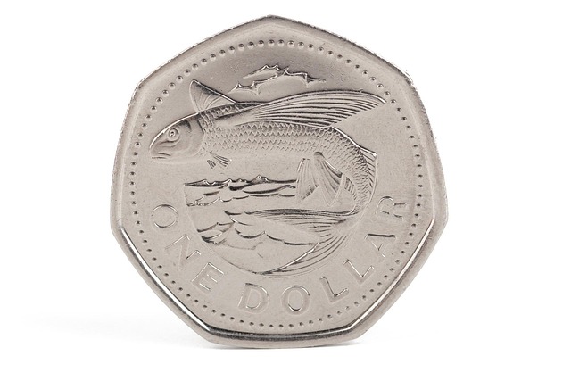 Barbados Adventure Awaits: Your Essential Guide to Exploring the Island's Wonders and Culture