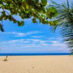 Barbados Travel Guide: Experience Island Bliss with Stunning Beaches and Cultural Treasures