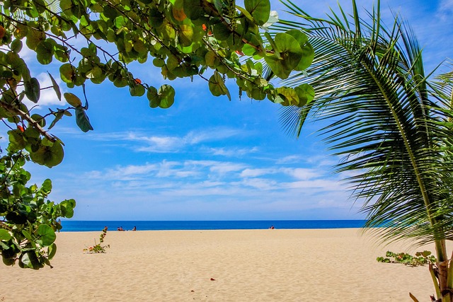 Barbados Travel Guide: Experience Island Bliss with Stunning Beaches and Cultural Treasures